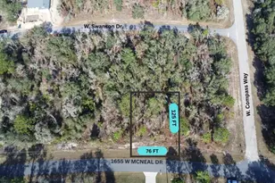 1655 W Mc Neal Dr, Citrus Springs, FL 34434 - Photo 1