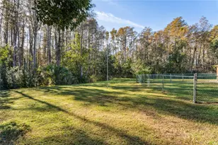 6034 Wooden St, New Port Richey, FL 34653 - Photo 8