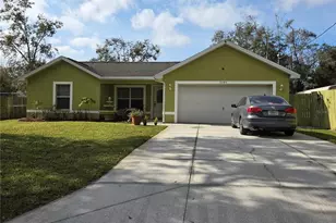 11345 Hanis St, New Port Richey, FL 34654 - Photo 1