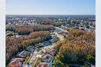 4731 Spring Side Drive, New Port Richey, FL 34653 - Photo 60