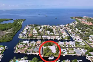 311 Morningside Dr, Palm Harbor, FL 34683 - Photo 44