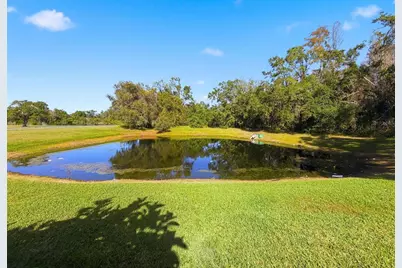 23015 Mayfair Road, Land O Lakes, FL 34639 - Photo 32