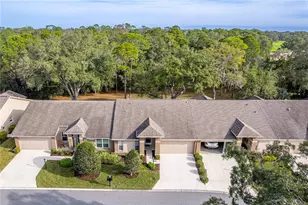 3008 Whispering Pines Ct, Spring Hill, FL 34606 - Photo 52