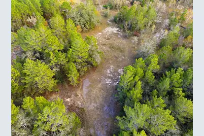 0 Backwoods Way, Brooksville, FL 34614 - Photo 6