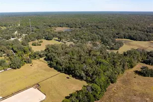 15218 Norris Bishop Loop, Brooksville, FL 34614 - Photo 28