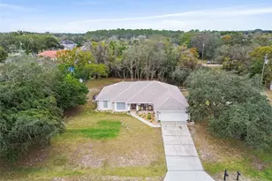 270 Planter Rd, Spring Hill, FL 34606 - Photo 28