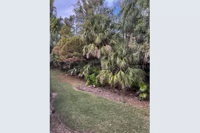 122 Cypress Lane #122, Oldsmar, FL 34677 - Photo 38