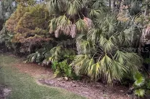 122 Cypress Ln, Oldsmar, FL 34677 - Photo 38