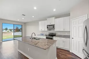 446 Alpine Thistle Dr, Brooksville, FL 34604 - Photo 2