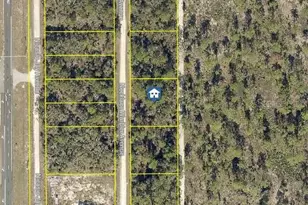 Lot 8 Necklace Warbler Ave, Weeki Wachee, FL 34614 - Photo 1