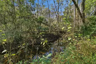 11130 Chicago Ave, New Port Richey, FL 34654 - Photo 18