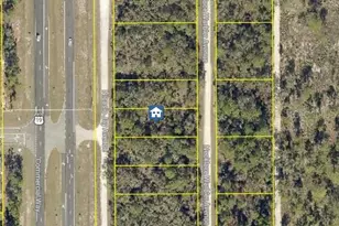 Lot 14 Necklace Warbler, Weeki Wachee, FL 34614 - Photo 1