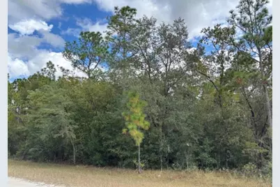 Lot 19 Canyon Swallow Road, Weeki Wachee, FL 34614 - Photo 2