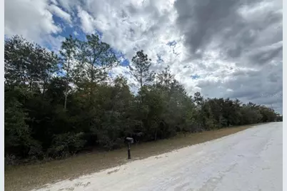 Lot 19 Canyon Swallow Road, Weeki Wachee, FL 34614 - Photo 4