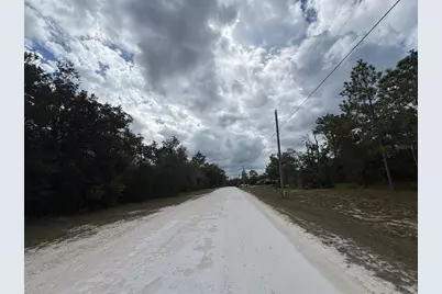 Lot 17 Canyon Swallow Road, Weeki Wachee, FL 34614 - Photo 4