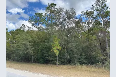 Lot 17 Canyon Swallow Road, Weeki Wachee, FL 34614 - Photo 2