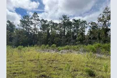 13154 Flaccus Court, Brooksville, FL 34613 - Photo 2