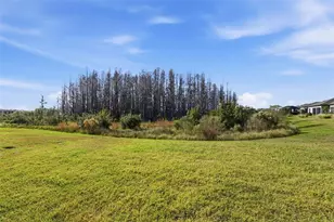 19440 Ship Wheel Wy, Land O Lakes, FL 34638 - Photo 24