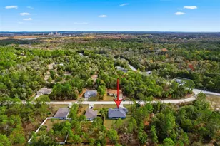 14351 Carolina Chickadee Rd, Weeki Wachee, FL 34614 - Photo 80