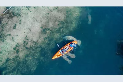 5261 Circle Drive, Weeki Wachee, FL 34607 - Photo 42