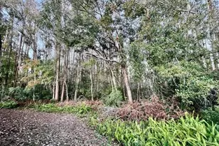 11536 Baywood Meadows Dr, New Port Richey, FL 34654 - Photo 36