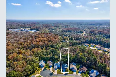 11446 Sinatra Court, New Port Richey, FL 34654 - Photo 46