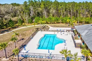 5219 Cappleman Loop, Brooksville, FL 34601 - Photo 54