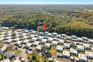 11737 Bayonet Ln, New Port Richey, FL 34654 - Photo 2