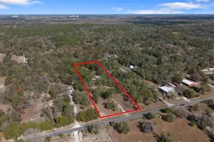 15031 Bailey Hill Rd, Brooksville, FL 34614 - Photo 2