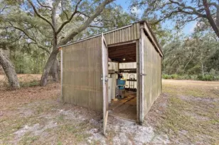 455 NE 441st Ave, Old Town, FL 32680 - Photo 22