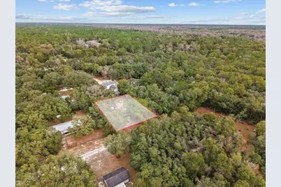 455 NE 441 Avenue, Old Town, FL 32680 - Photo 4