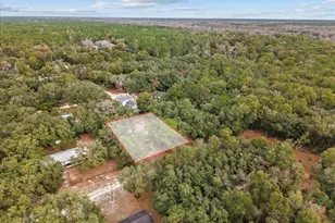 455 NE 441st Ave, Old Town, FL 32680 - Photo 4