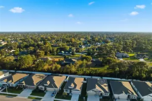 3843 Autumn Amber Dr, Spring Hill, FL 34609 - Photo 34