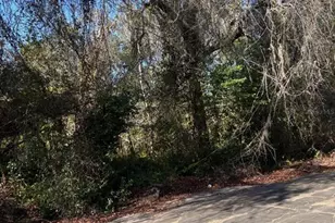 0 Pana St, New Port Richey, FL 34654 - Photo 1