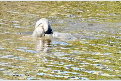 13121 Beacon Court, Hudson, FL 34667 - Photo 78