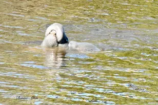 13121 Beacon Ct, Hudson, FL 34667 - Photo 78