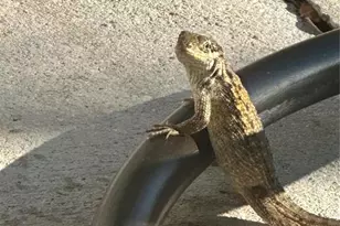 13121 Beacon Ct, Hudson, FL 34667 - Photo 76