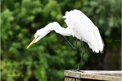 13121 Beacon Court, Hudson, FL 34667 - Photo 74