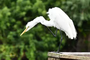 13121 Beacon Ct, Hudson, FL 34667 - Photo 74