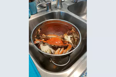 13121 Beacon Court, Hudson, FL 34667 - Photo 72