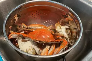 13121 Beacon Ct, Hudson, FL 34667 - Photo 72