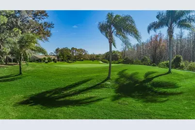 6525 Pine Walk Drive, New Port Richey, FL 34655 - Photo 72