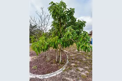 3467 Everett Avenue, Spring Hill, FL 34609 - Photo 38