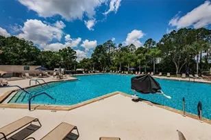 6622 Pine Walk Dr, New Port Richey, FL 34655 - Photo 52