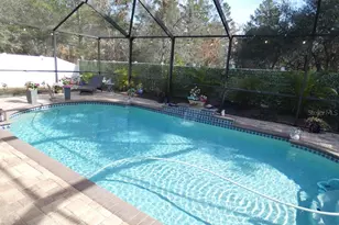 3604 Windance Ave, Spring Hill, FL 34609 - Photo 4