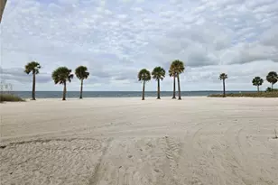 743 Cajeput Loop, Tarpon Springs, FL 34689 - Photo 64