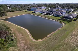 743 Cajeput Loop, Tarpon Springs, FL 34689 - Photo 58