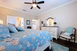 743 Cajeput Loop, Tarpon Springs, FL 34689 - Photo 20