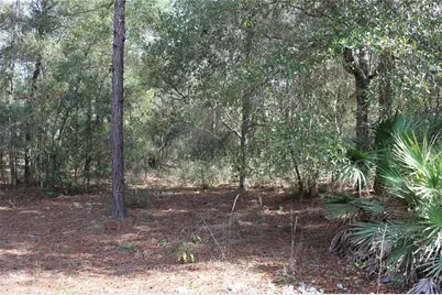 34273 Belt Drive, Dade City, FL 33523 - Photo 4
