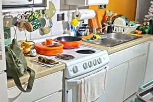 1865 Mazo Manor, Lutz, FL 33558 - Photo 14